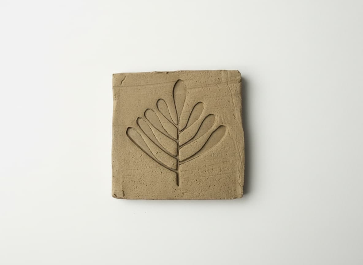 Seaweed 3