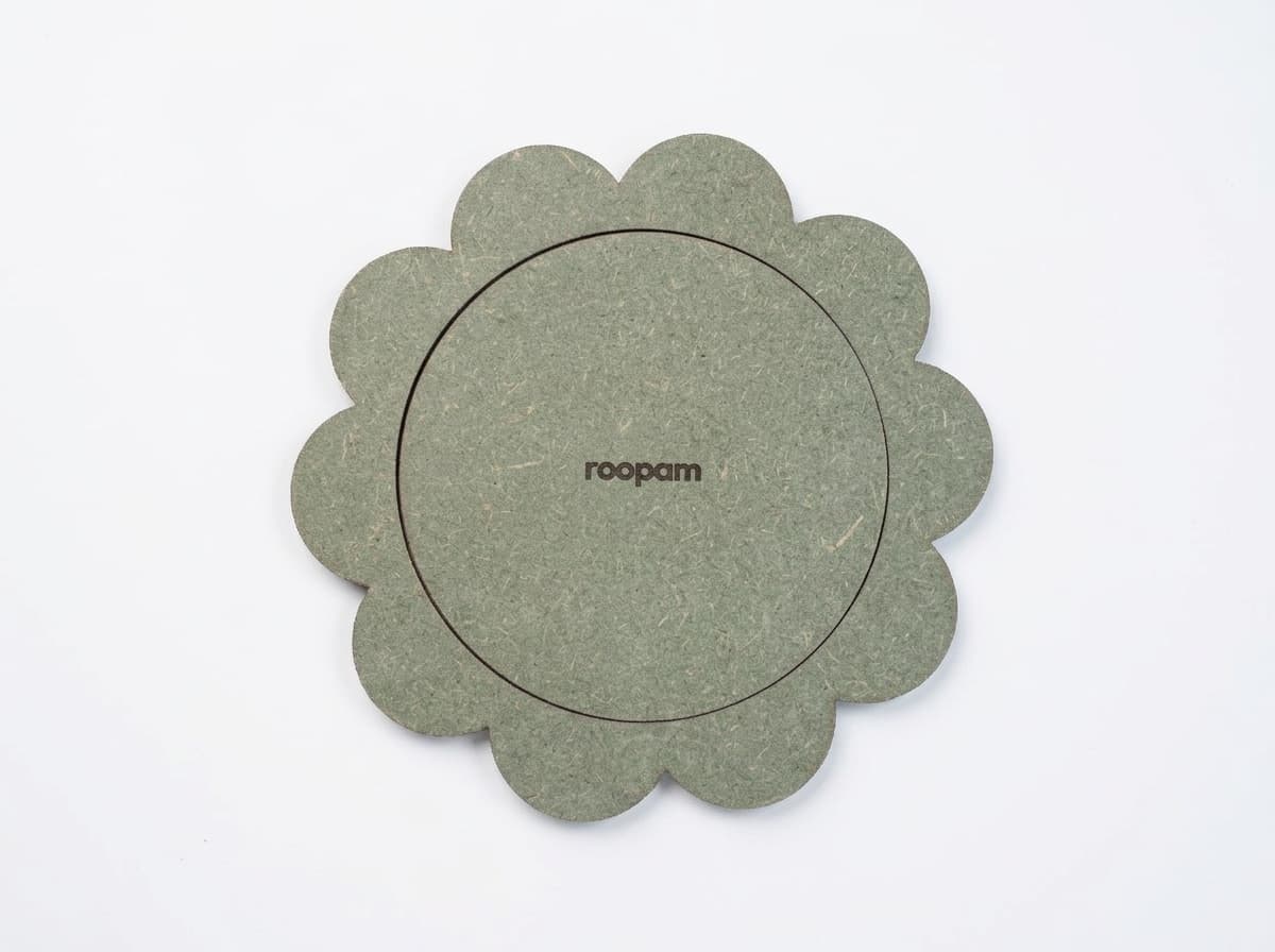 Bloom Scallop 4