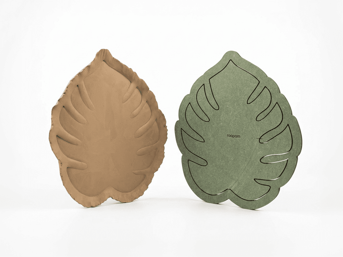Monstera