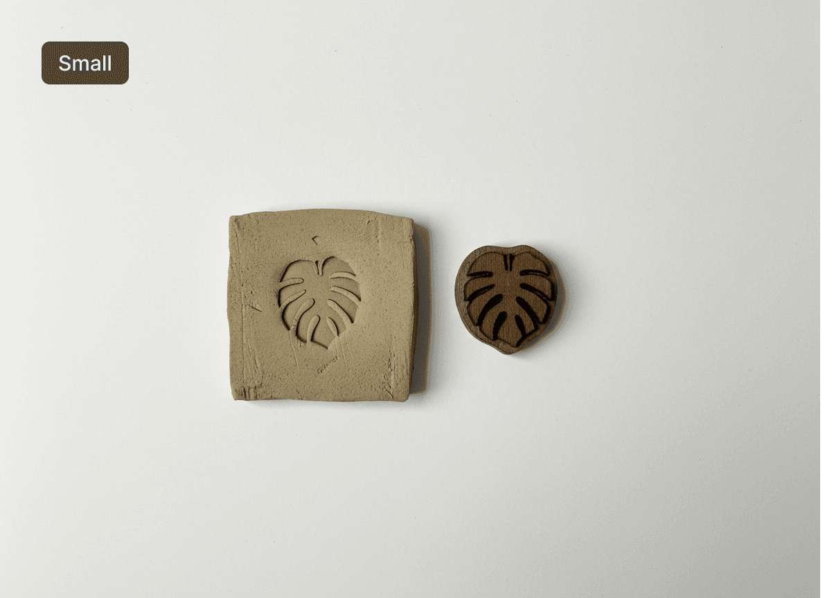 Monstera leaf 3