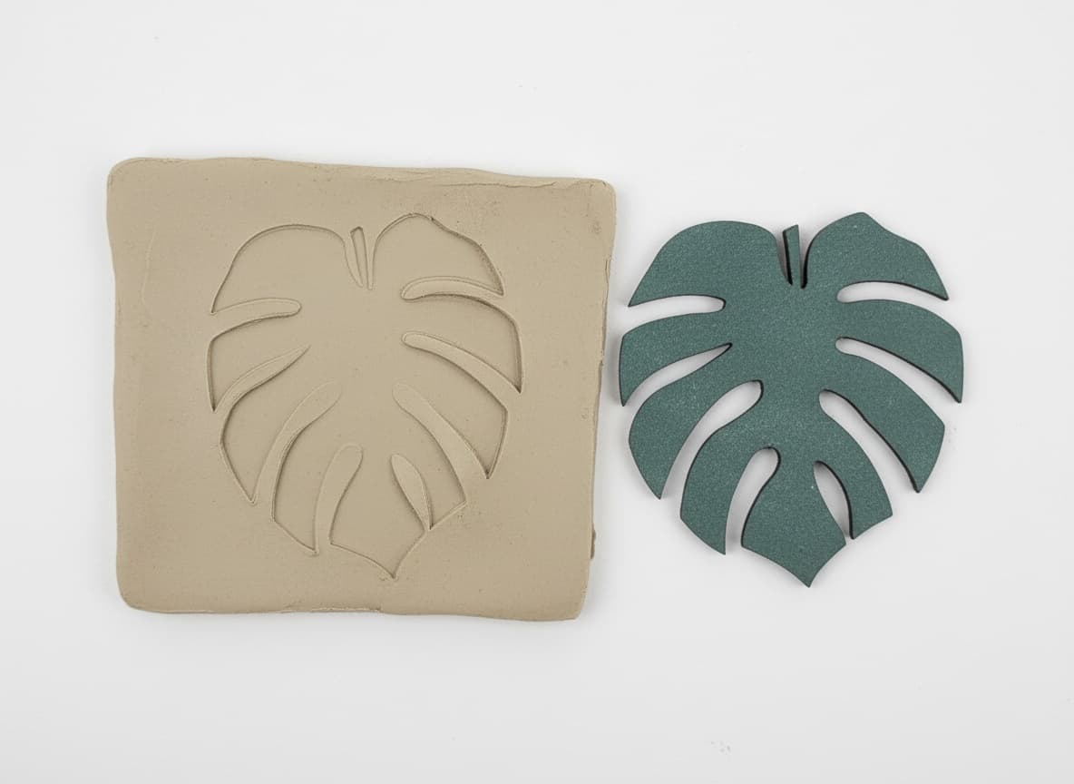 Monstera leaf
