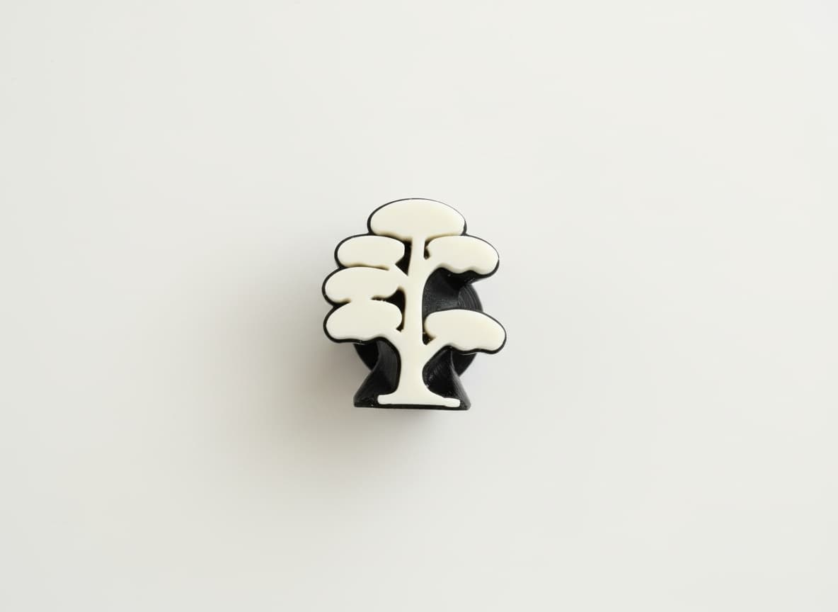 Cotton tree 4